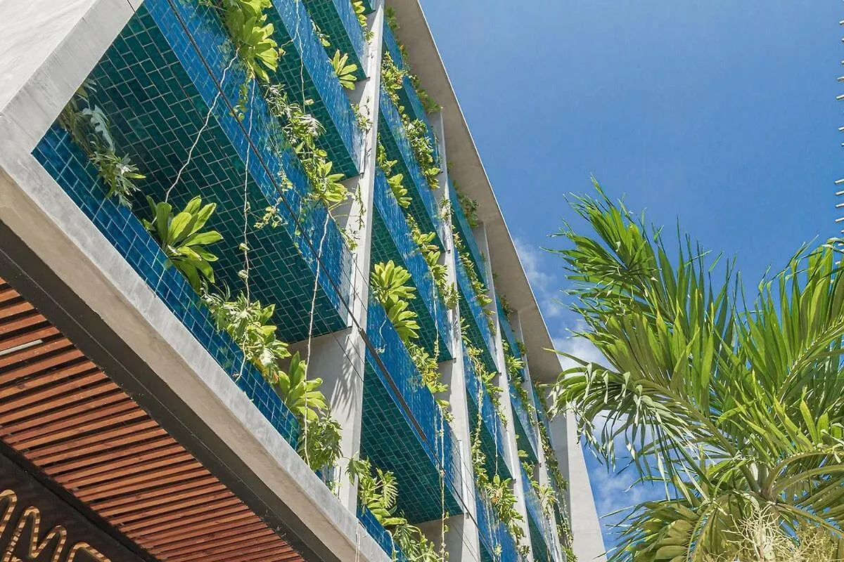 Magnificent Studio In Playa Del Carmen 5Th Ave